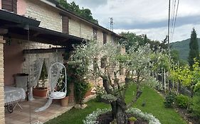 B&B Il Poggetto
